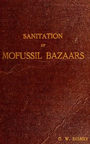 [Gutenberg 62124] • Sanitation of Mofussil Bazaars